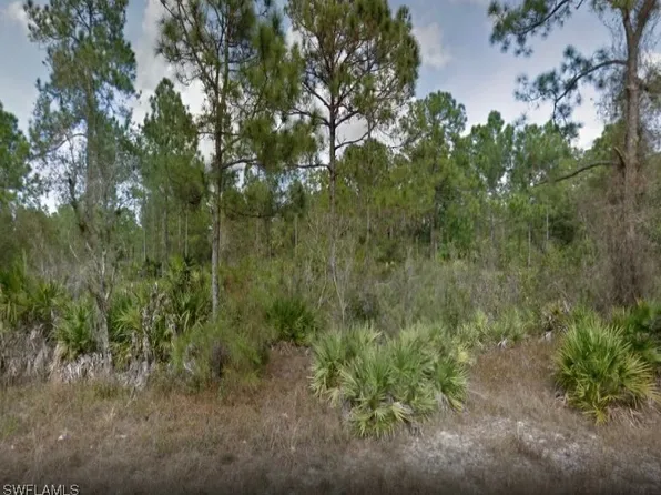 2517 Jetridge St, Alva, FL 33920