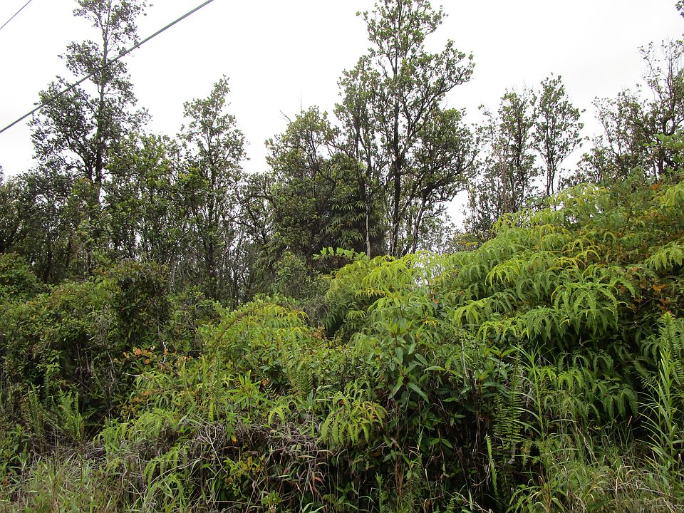 2nd image of Malia Aina Rd Lot 20