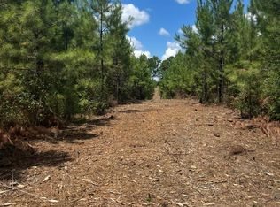 10343 Private Road 8012 Lot 34, Bronson, TX 75930