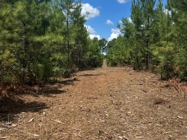 10343 Private Road 8012 Lot 34, Bronson, TX 75930