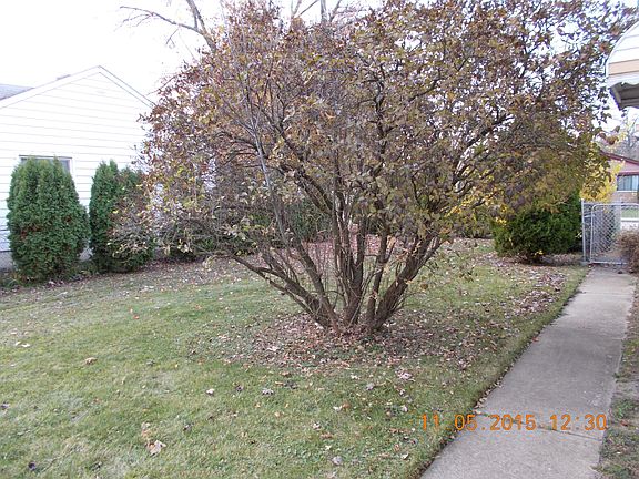 2015-11-05 12_11092015