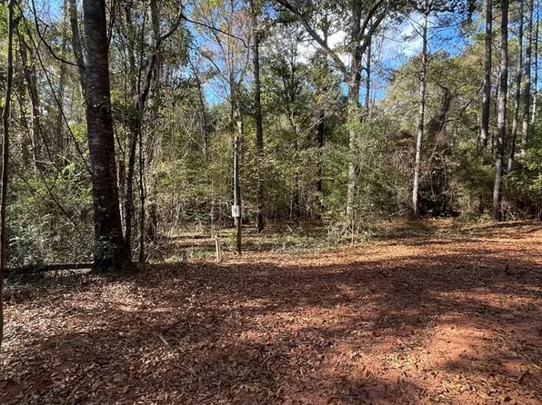201 Cyanamid Ln, Andersonville, GA 31711