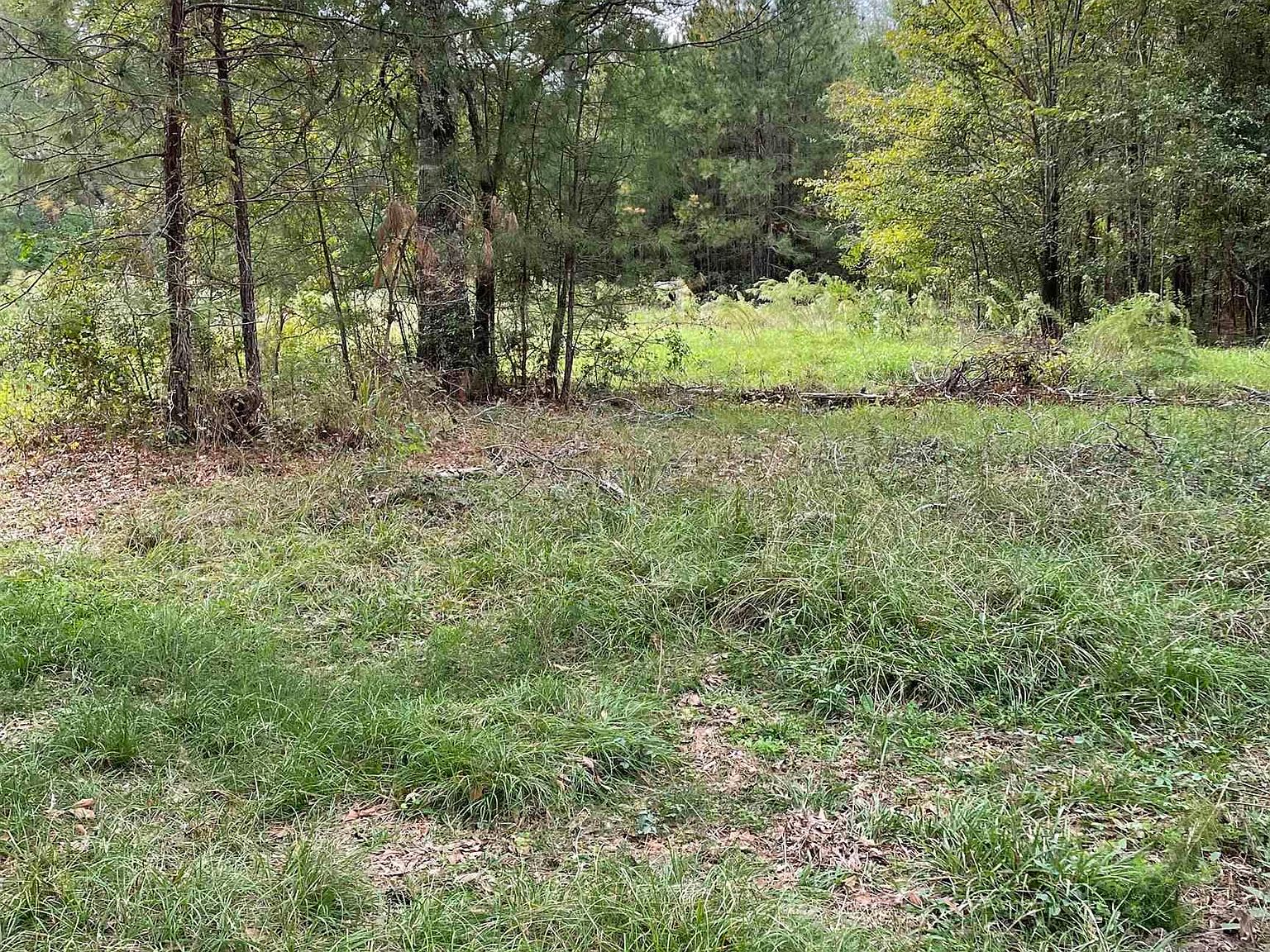 Off Of Fm 357, Apple Springs, TX 75926 MLS 23014434 Zillow