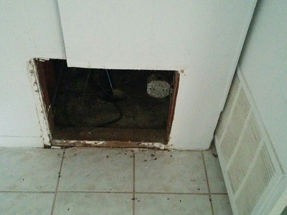 4th image of 702 Cornelia Ct