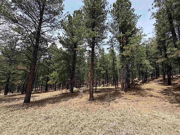 4th image of Lot 22 Valley Rd