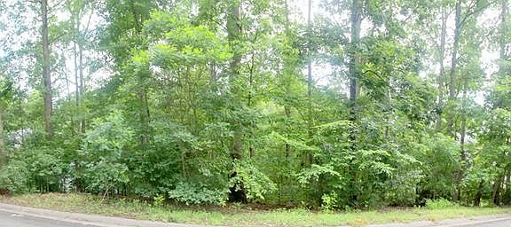 Panorama at the curb