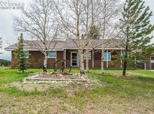 65 Yeoman Ln, Divide, CO 80814
