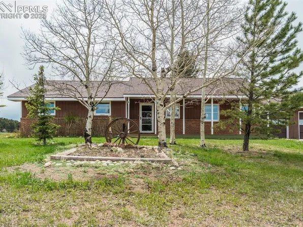 65 Yeoman Ln, Divide, CO 80814