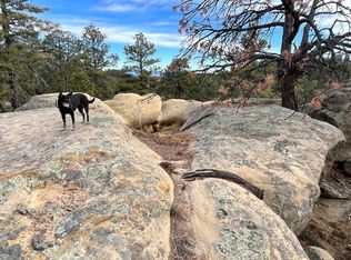 Pine Valley Lot 117 & 118, Weston, CO 81091