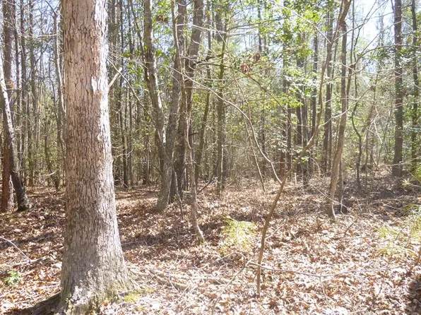 0 Kings Hwy, Montross, VA 22520