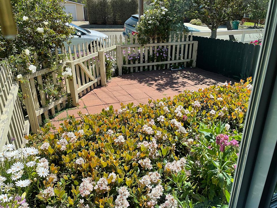 View of patio from dining area window