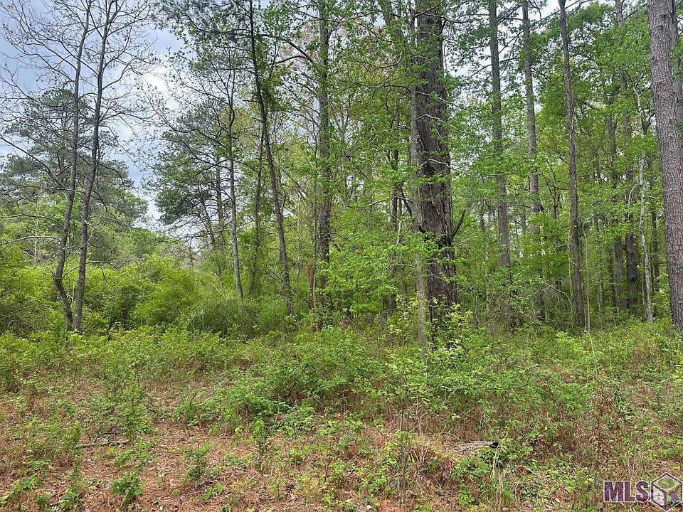 2nd image of 11175 Tunica Trce