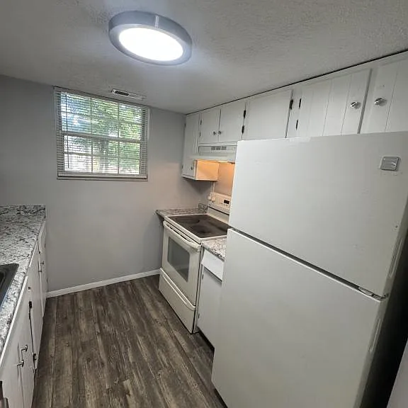 3811 Rohling Oaks Dr — Photo 3