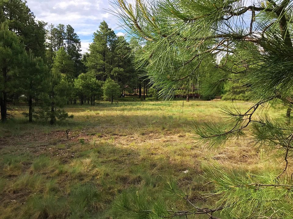 1246 Chief Cir Forest Lakes, AZ, 85931 Apartments for Rent Zillow