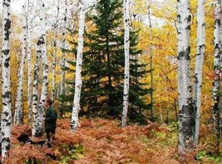 Xxxx Rocky Wall, Silver Bay, MN 55614