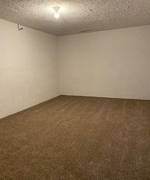 Basement bonus room