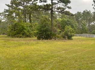 0 Green Willow Run #742, Wesley Chapel, FL 33544