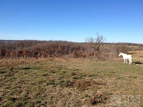 Turner Road - pasture on another high po