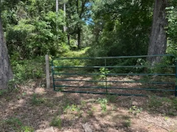 835AC W Liberty Rd, Harleton, TX 75651