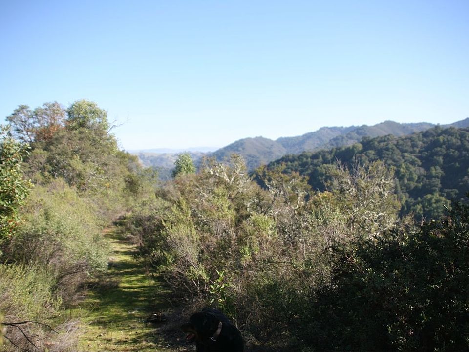 The Ridge looking East