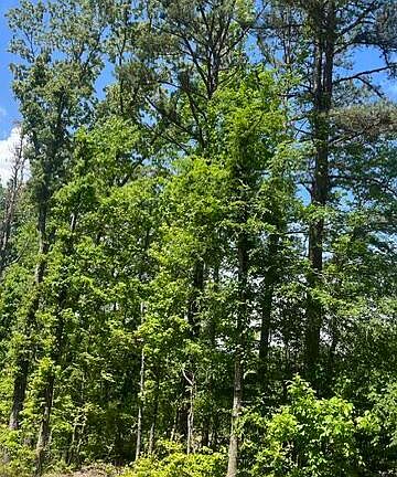 3rd image of TRACT 7 State Route 225