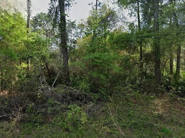 Not Assigned, Crescent City, FL 32112