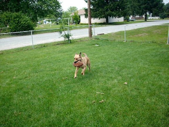 playing football