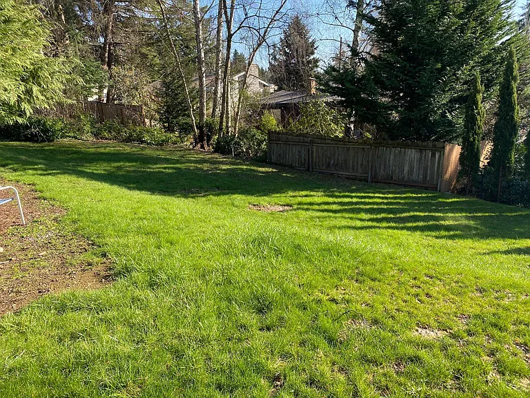 Large back yard