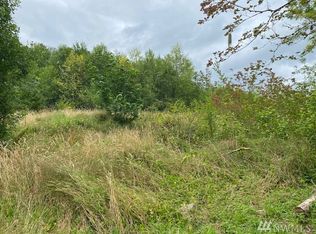 1 Hinkley Rd, Toledo, WA 98591