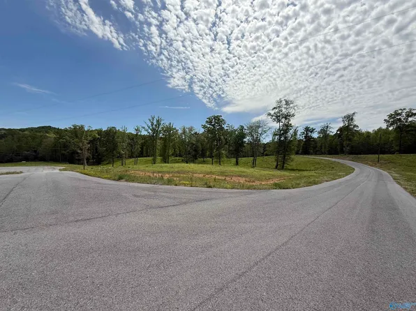 Lantana Haven Ashville Rd, Altoona, AL 35952