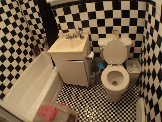 Rented by Giant Realty NY Corp | media 2