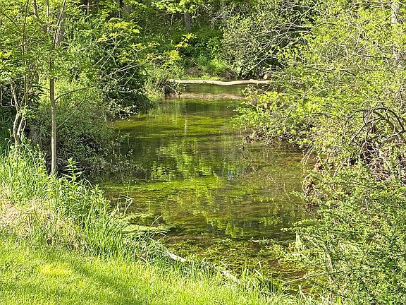 30th image of this home