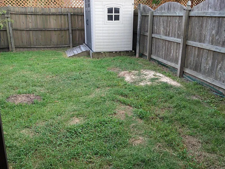 Back Yard