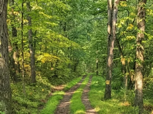 2210 Ramer Rd, Shelocta, PA 15774