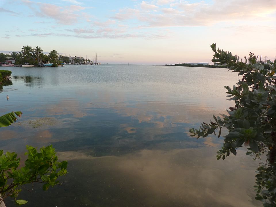 Atlantic Ocean in your backyard