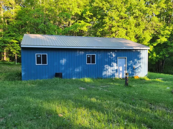 772 E Sandy Hill Ln, Bitely, MI 49309