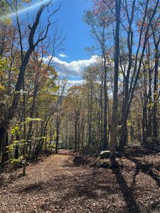 00 Debruce Road, Livingston Manor, NY, 12758