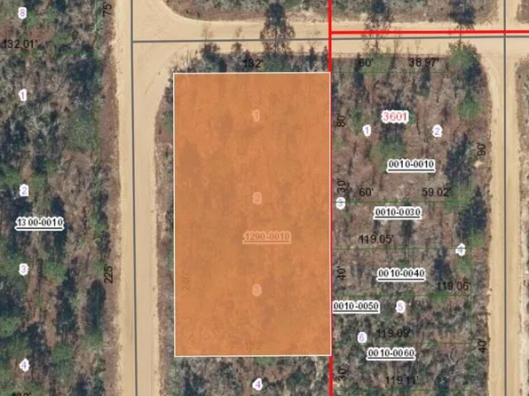 Xx Orchid Ave W, Interlachen, FL 32148