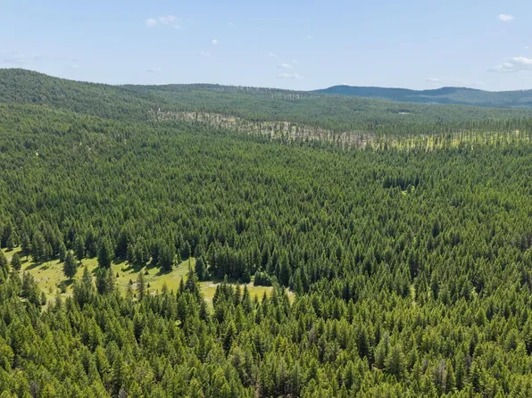 554 Pinkham Rd, Rexford, MT 59930