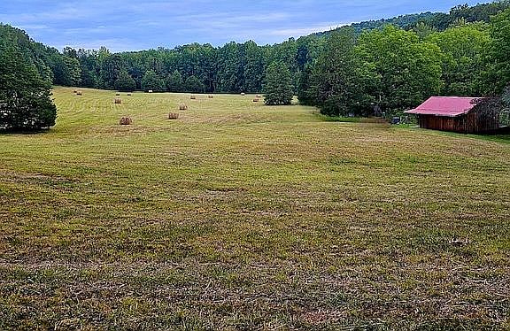 3rd image of 442 Newburn Hollow Rd