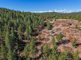 171 Thomas Ln, Cotopaxi, CO 81223