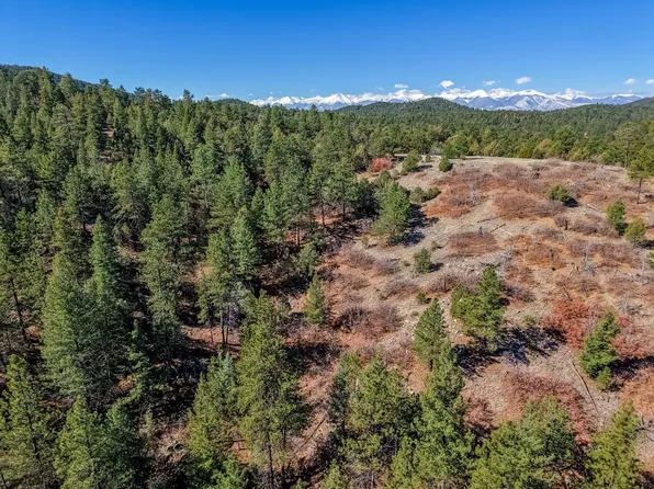 171 Thomas Ln, Cotopaxi, CO 81223