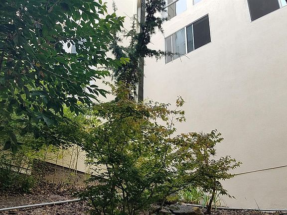3rd image of 3014 Clay St