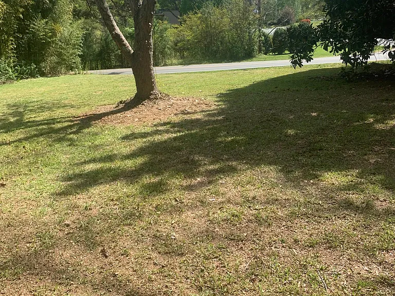 Unfenced side yard.