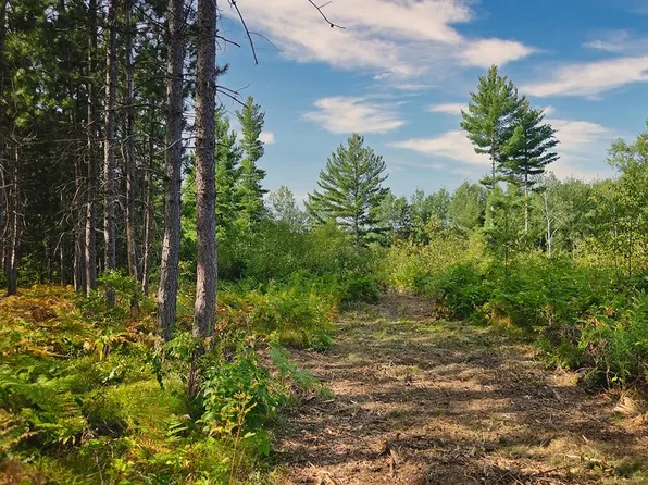 4 Zenith Tower Rd, Tomahawk, WI 54487