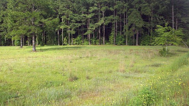 2nd image of 3291 John Clark Rd