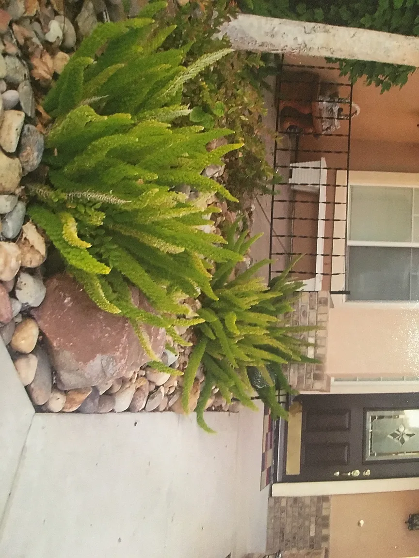 660 Cypress Dr photo 1