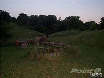 PASTURE