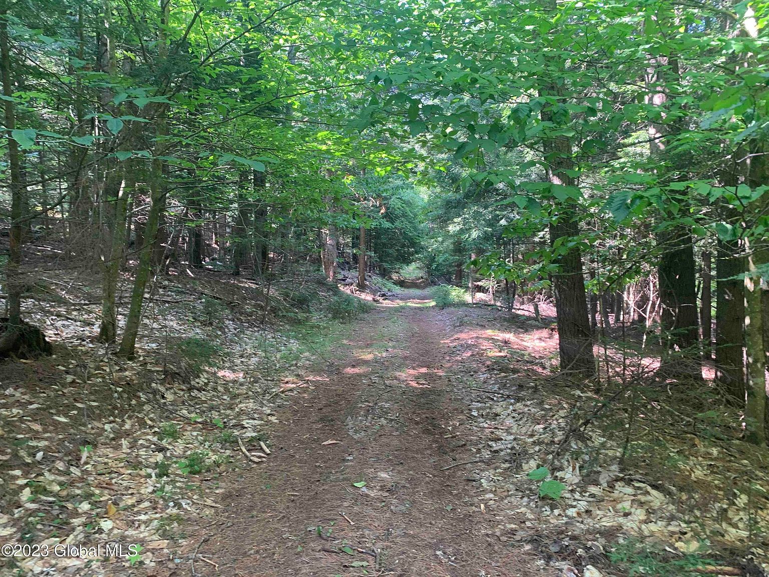 L9 Perry Road, North Creek, NY 12853 Zillow