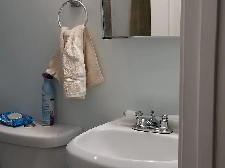 Main bathroom